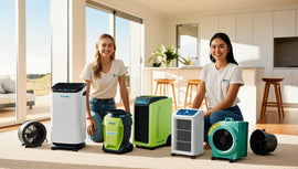 Seasonal Adaptation: Air Purifier Solutions for Changing Conditions