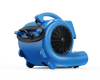 Soffiatore per tappeti THORAIR® Pro Snail
